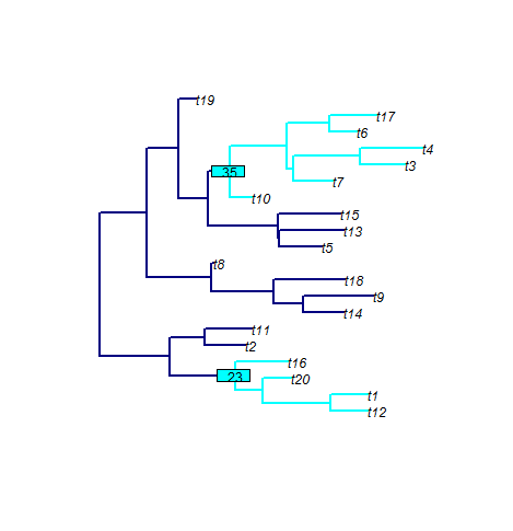 phyloTop example